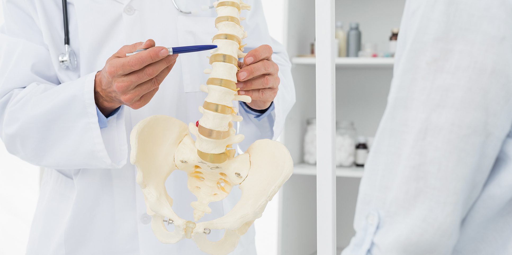 Chiropractor pointing at vertebrae on an anatomic skeleton 